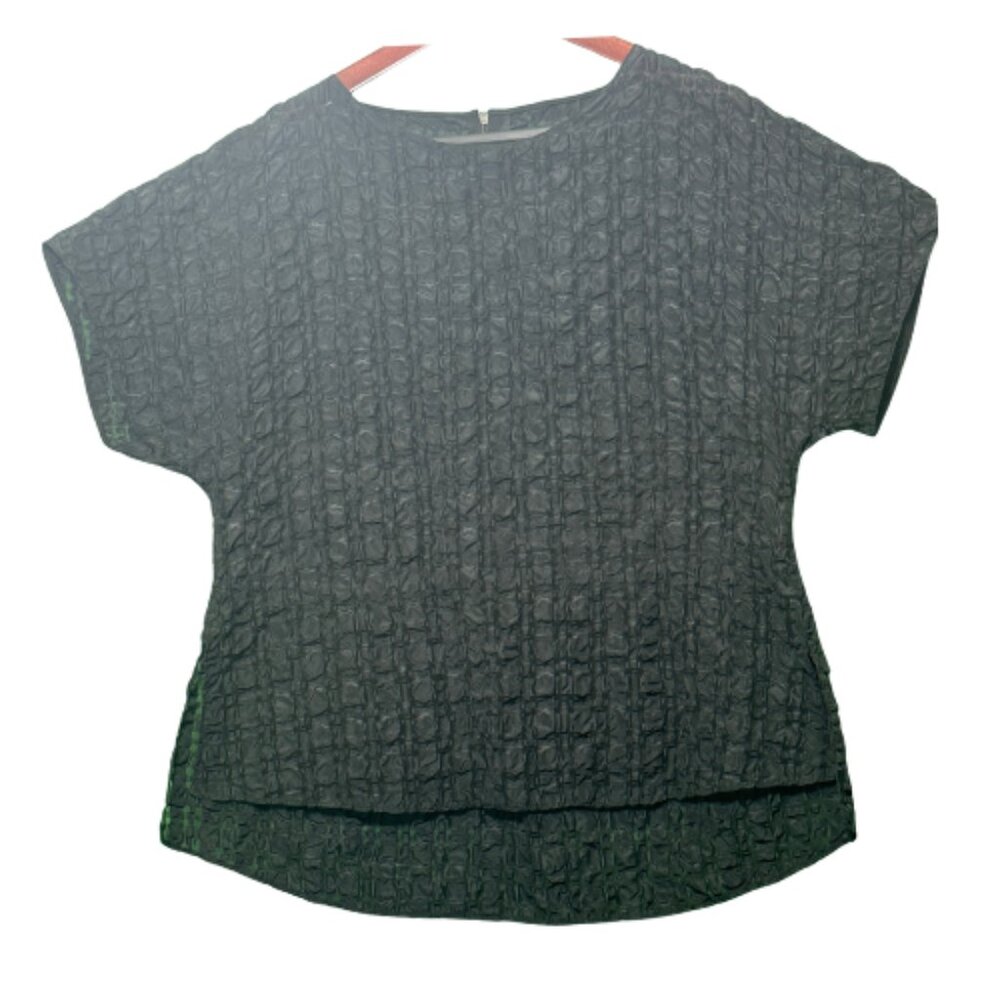 Gently Worn Black Silhouette Textured Short Sleeve Blouse Size L (BB1020)